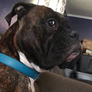 Meet your Posher, William